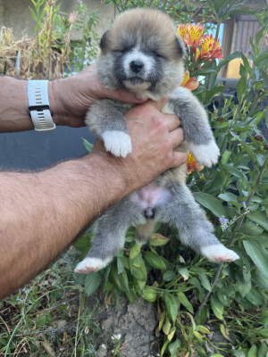 Male 3